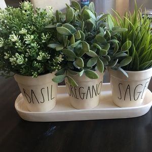 Rae Dunn basil oregano sage planter